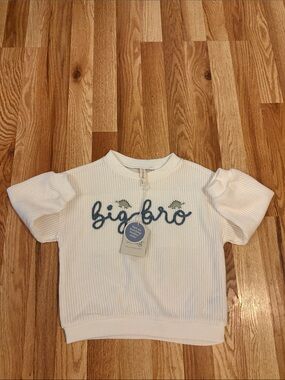 Snug Toddler Boy Knit Embroidered White Sweater Dinosaur Big Bro 4T NWT